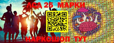 хмурый Малоярославец