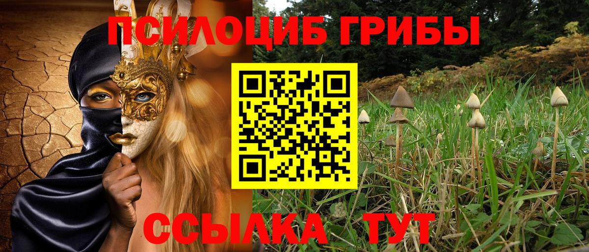 Гурьевск  Галлюциногенные грибы Magic Shrooms  Вход с VPN  Псилоцибиновые грибы Psilocybine cubensis 